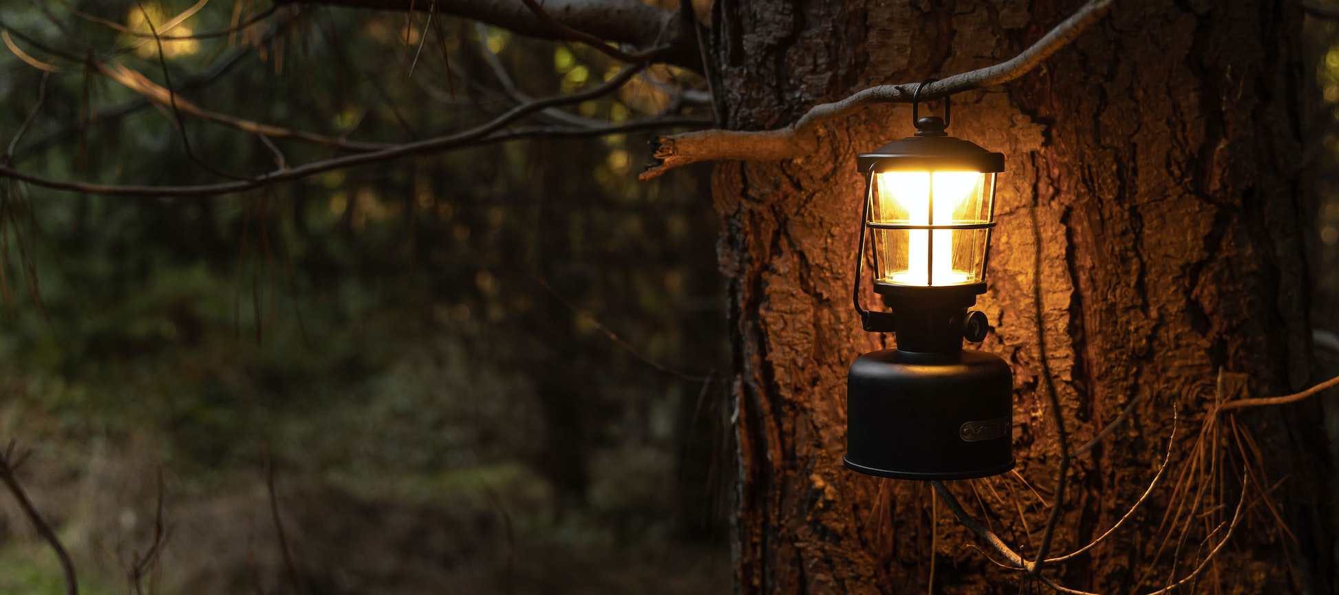 STEDI STELLAR LED Campinglykt